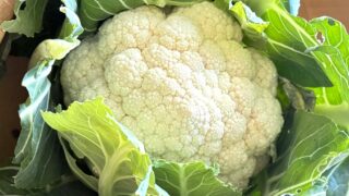 富士ブランド「富士の箱入り娘」でカリフラワーのアイスに挑戦しました