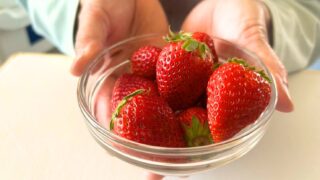 いちごアイスの試作に向けて、下処理を行いました