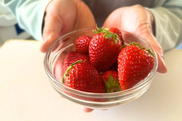 いちごアイスの試作に向けて、下処理を行いました